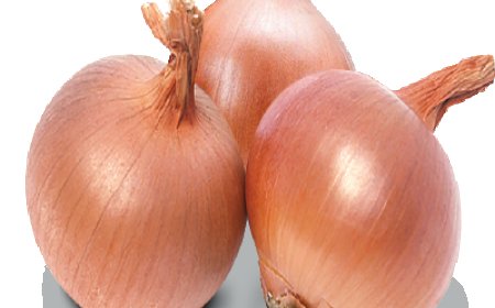 ক্রস এস ৮০