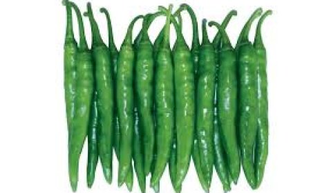 ফায়ার হট মরিচ