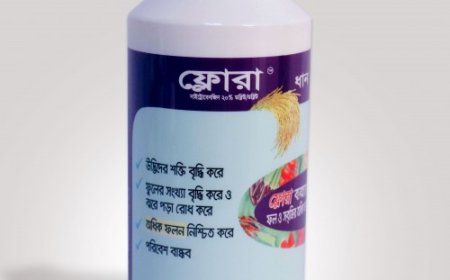 ধান চাষে ফ্লোরা ব্যবহার করে কুশি বৃদ্ধির সম্পূর্ণ টিপস
