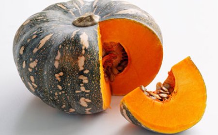 কুমড়ার ফল পচা না কড়া নষ্ট হওয়ার কারন?