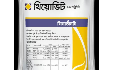 থিয়োভিট জমিতে কেনো ব্যাবহার করব?