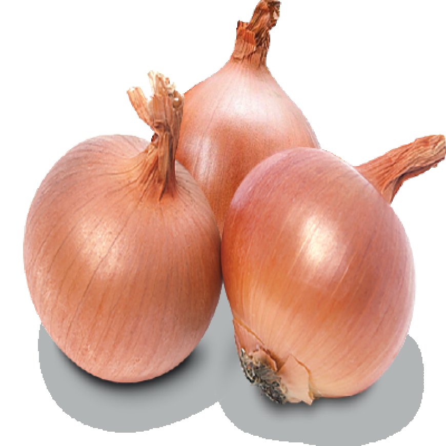 ক্রস এস ৮০