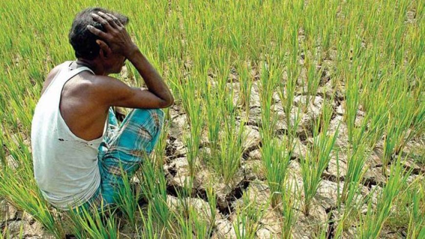 কৃষকদের মাঝে বিরাজ  মান ০৮ টি  ভুল ধারণা।