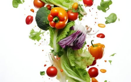 জুলাই মাসে চাষ যোগ্য সবজি ক্যালেন্ডার