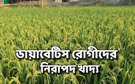 ব্রি ধান ১০৫